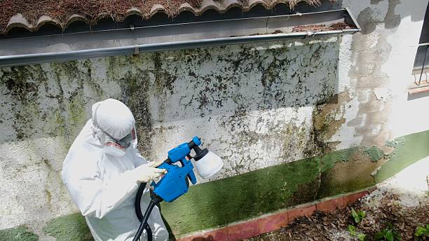 Top rated local Attic Mold Remediation specialists in Union Bridge, MD